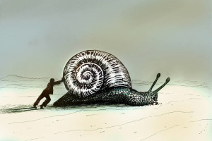 snail